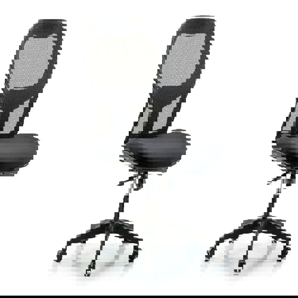 Task Chair: Mesh Fabric, Black